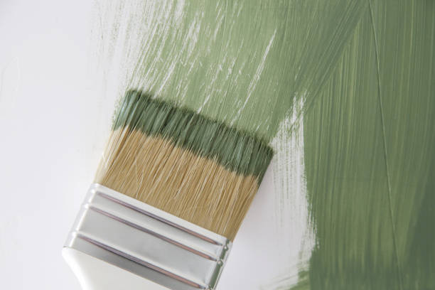 Best Mold Remediation for Vacation Homes  in Resaca, GA