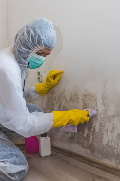 Best Asbestos and Lead Testing During Mold Inspection  in Resaca, GA