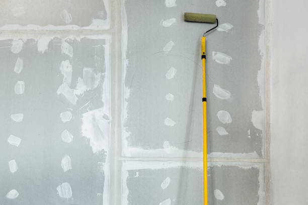 Best Environmental Consulting for Mold Prevention  in Resaca, GA