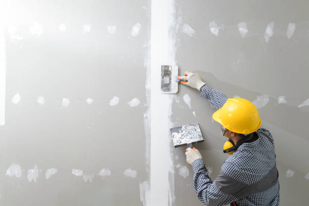 Best Mold-Related Health Consultation  in Resaca, GA