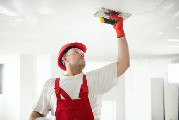Reliable Resaca, GA Mold Removal Solutions